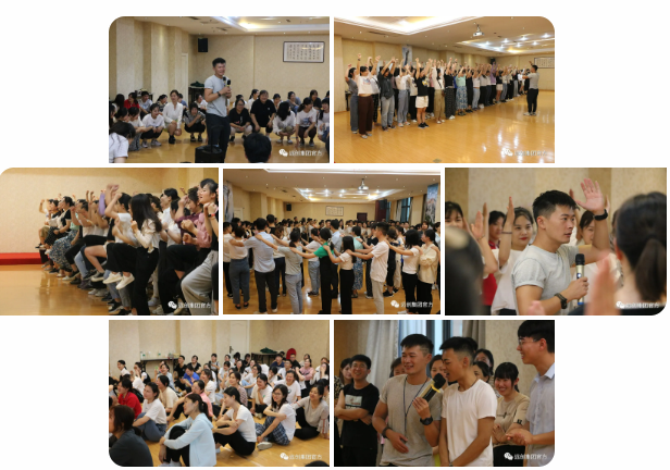 �ڲ�(yibo)�����������-ios/��׿ͨ�ð�app����