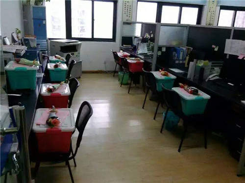 �ڲ�(yibo)�����������-ios/��׿ͨ�ð�app����